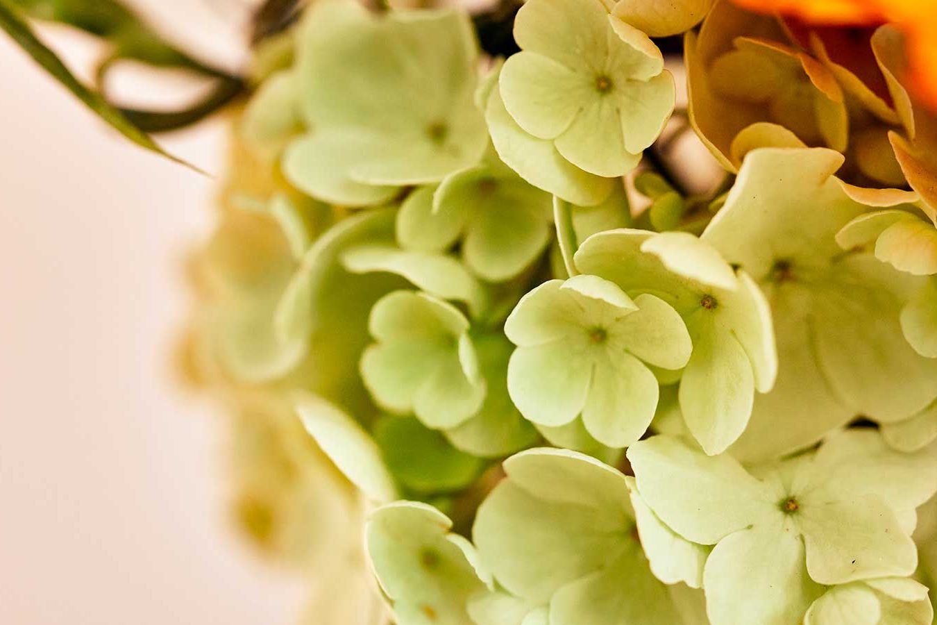 slider-3-2 Kurs: Intensiv-Zeit, Einblick-Durchblick-Lichtblick